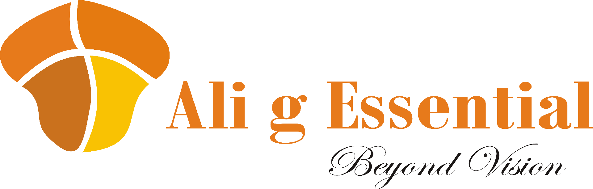 Ali g Essential — ERP, Inventory, HR Payroll and Business Automation Software Pakistan